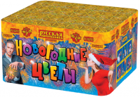 Новогодние цветы Фейерверк купить в Вилючинске | vilyuchinsk.salutsklad.ru