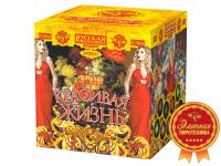 Красивая жизнь Фейерверк купить в Вилючинске | vilyuchinsk.salutsklad.ru