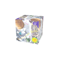 Новогодняя ночь Салют купить в Вилючинске | vilyuchinsk.salutsklad.ru