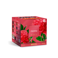 Пионы Салют купить в Вилючинске | vilyuchinsk.salutsklad.ru