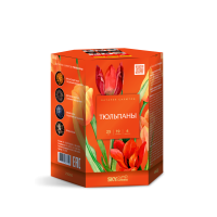 Тюльпаны Салют купить в Вилючинске | vilyuchinsk.salutsklad.ru