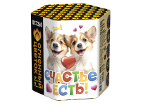 Счастье есть! Салют купить в Вилючинске | vilyuchinsk.salutsklad.ru