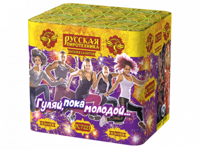 Гуляй, пока молодой Салют купить в Вилючинске | vilyuchinsk.salutsklad.ru