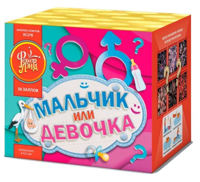 Мальчик или девочка М Фейерверк купить в Вилючинске | vilyuchinsk.salutsklad.ru